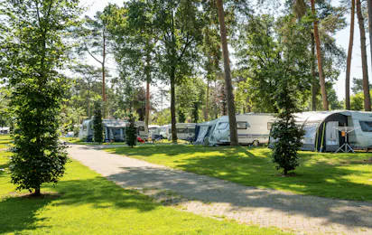 Ardoer Camping De Heldense Bossen