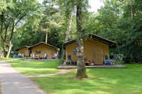 Camping De Hertshoorn - Glamping  auf der Wiese  im Schatten der Bäume auf dem Campingplatz