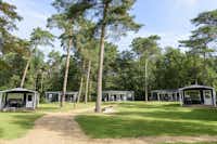 Camping De Hertshoorn - Mobilheimen im Schatten der Bäume auf dem Campingplatz