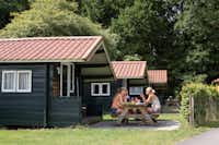 Camping De Noetselerberg - äste sitzen vor dem Chalet im Schatten der Bäume auf dem Campingplatz