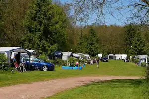 Ardoer Camping De Reeënwissel - Blick auf den Zeltplatz und Wohnwagenstellplatz zwischen den Bäumen auf dem Campingplatz