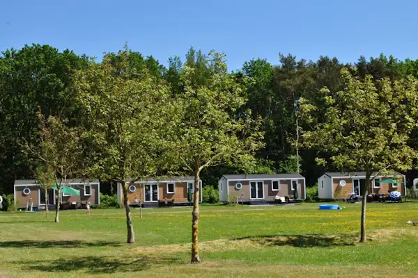 Camping De Reeënwissel