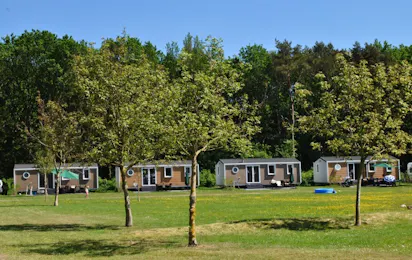 Camping De Reeënwissel