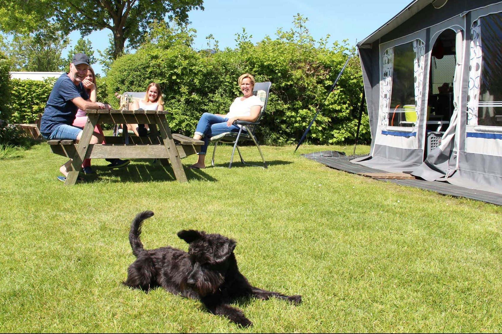 Molecaten Park Wijde Blick  -  Camper an einer Picknickbank auf dem Wohnwagen- und Zeltstellplatz vom Campingplatz im Grünen