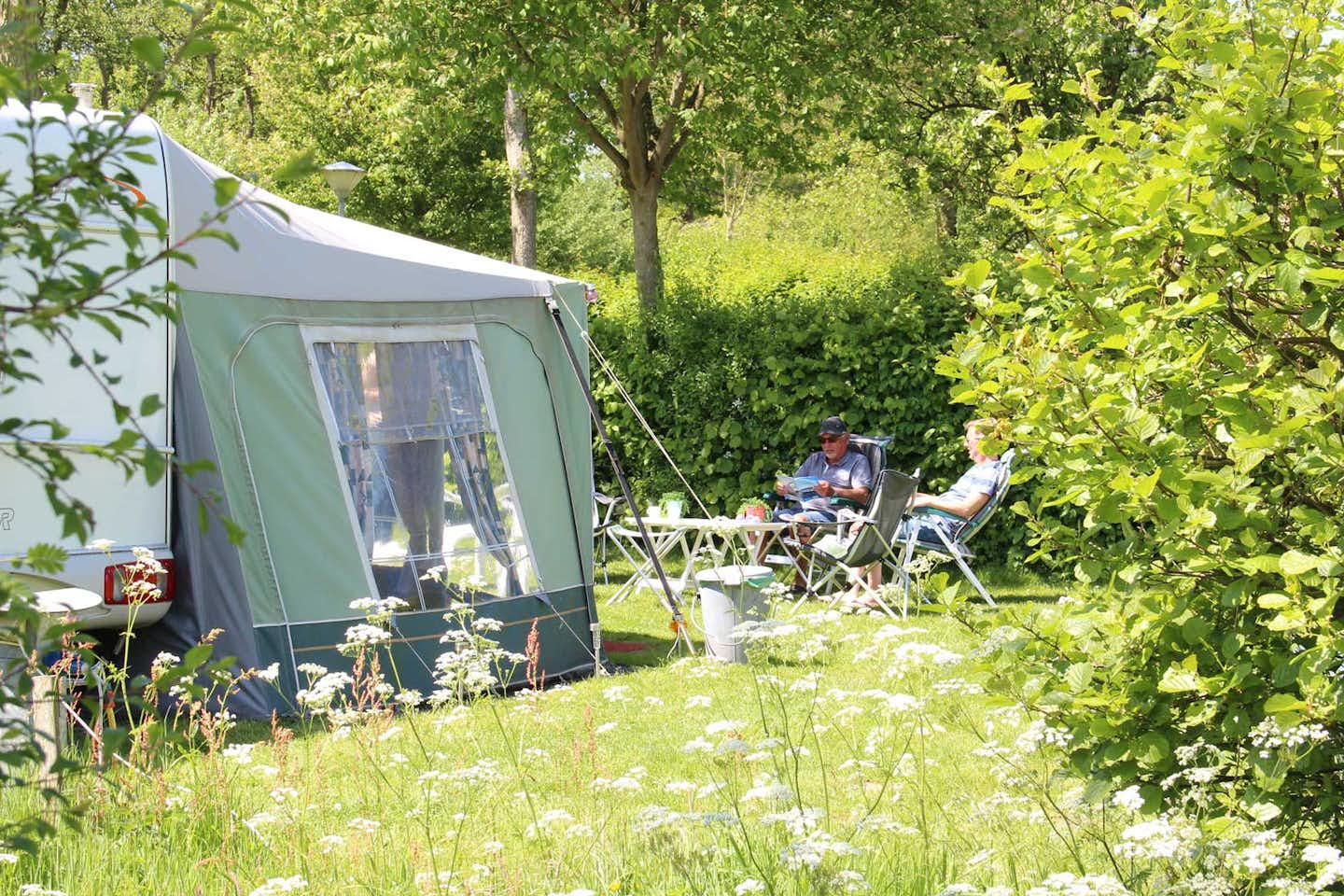 Molecaten Park Wijde Blick  -  Camper auf dem Wohnwagen- und Zeltstellplatz vom Campingplatz im Grünen