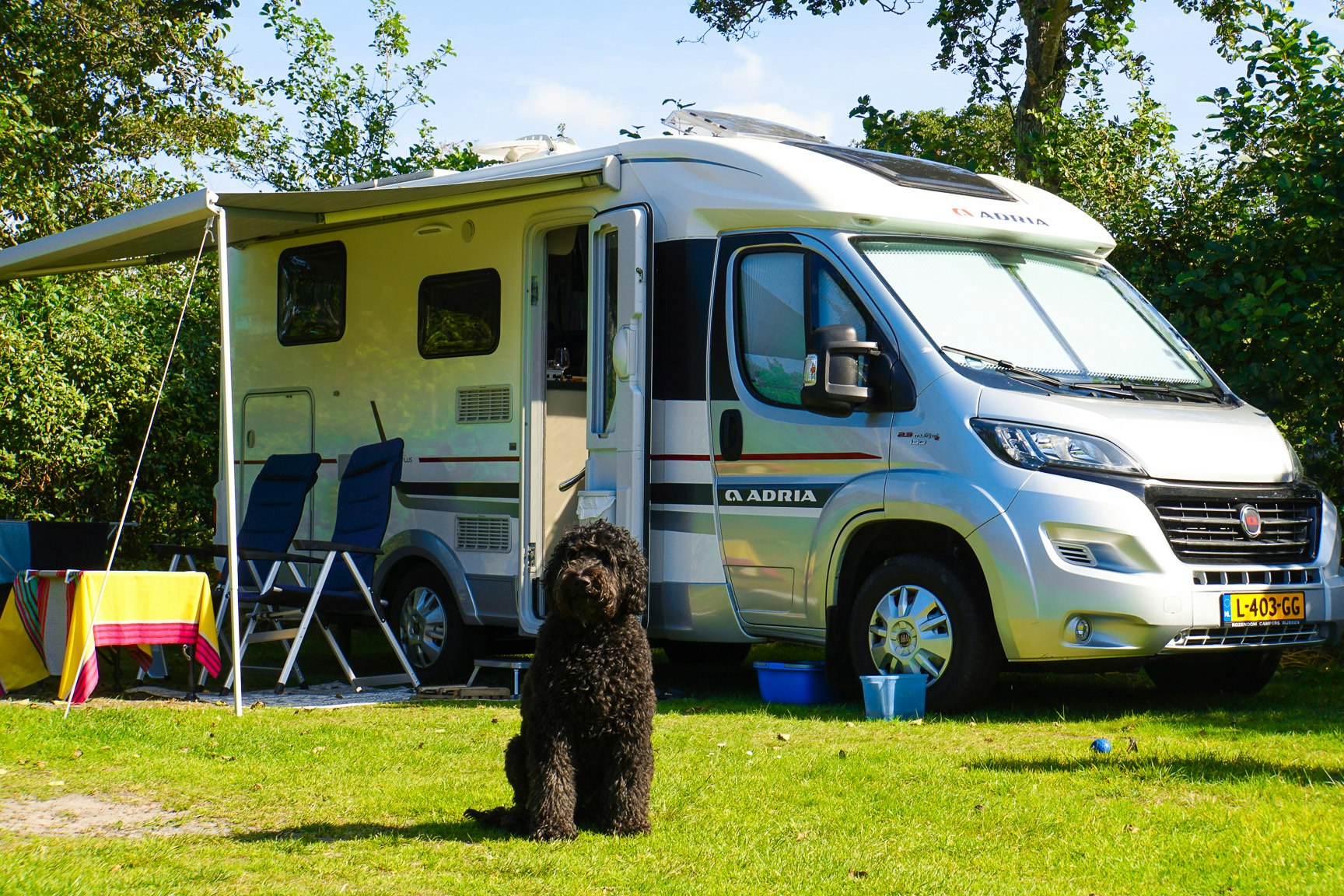 Ardoer Camping Sint Maartenszee - Standplatz auf grüner Wiese von Hecke begrenzt 
