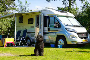 Ardoer Camping Sint Maartenszee - Standplatz auf grüner Wiese von Hecke begrenzt