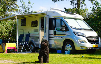 Ardoer Camping Sint Maartenszee