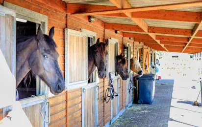 Ardoer Camping 't Noorder Sandt