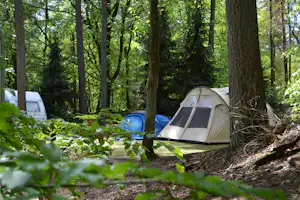 Vakantiedorp De Jutberg - Wohnwagen- und Zeltstellplatz vom Campingplatz zwischen Bäumen