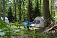 Vakantiedorp De Jutberg  -  Wohnwagen- und Zeltstellplatz vom Campingplatz zwischen Bäumen