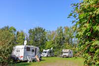 Ardoer Vakantiepark 't Akkertien op de Voorst  -  Stellplatz vom Campingplatz auf grüner Wiese