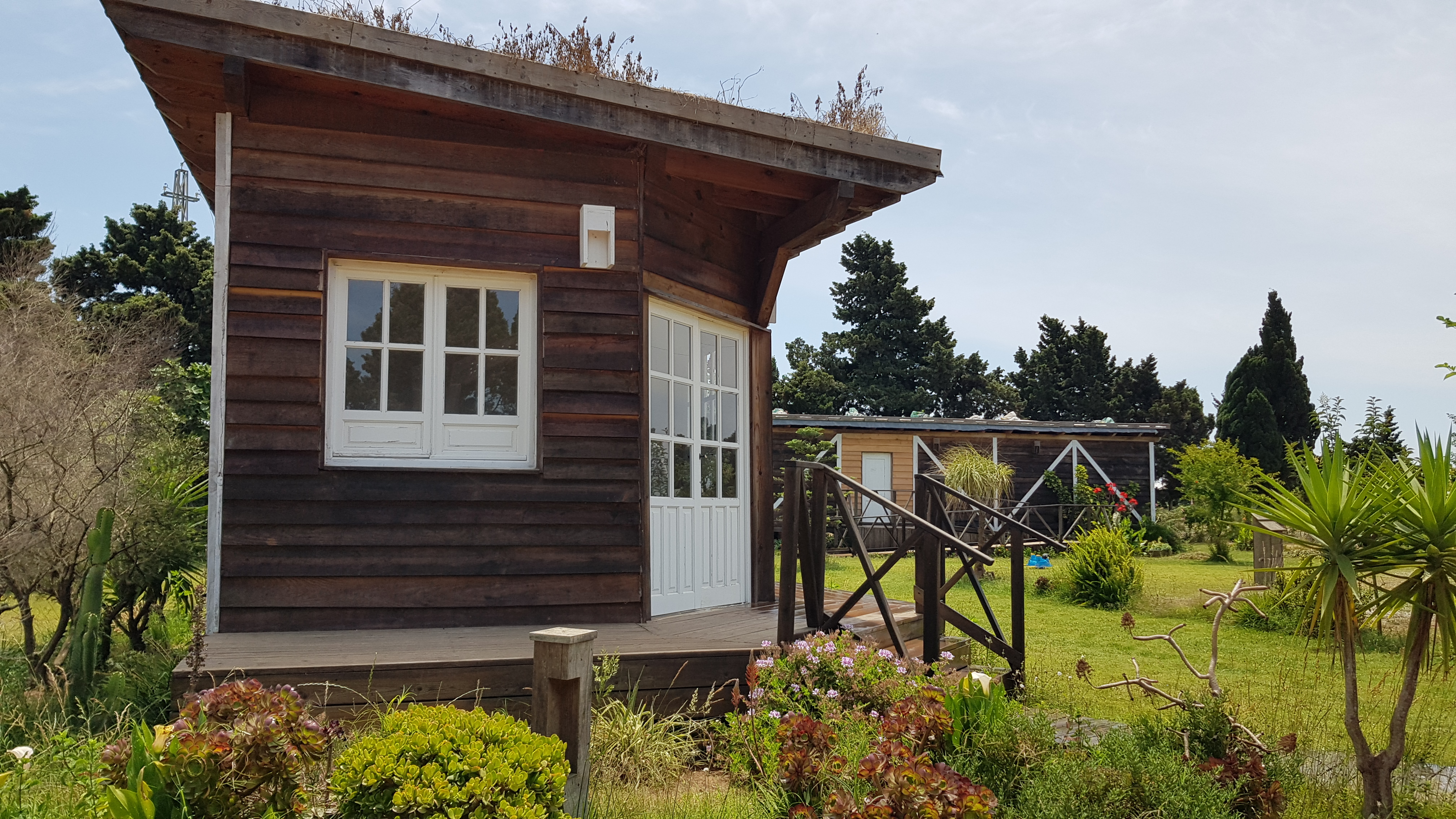 La Siesta de la Gaviota