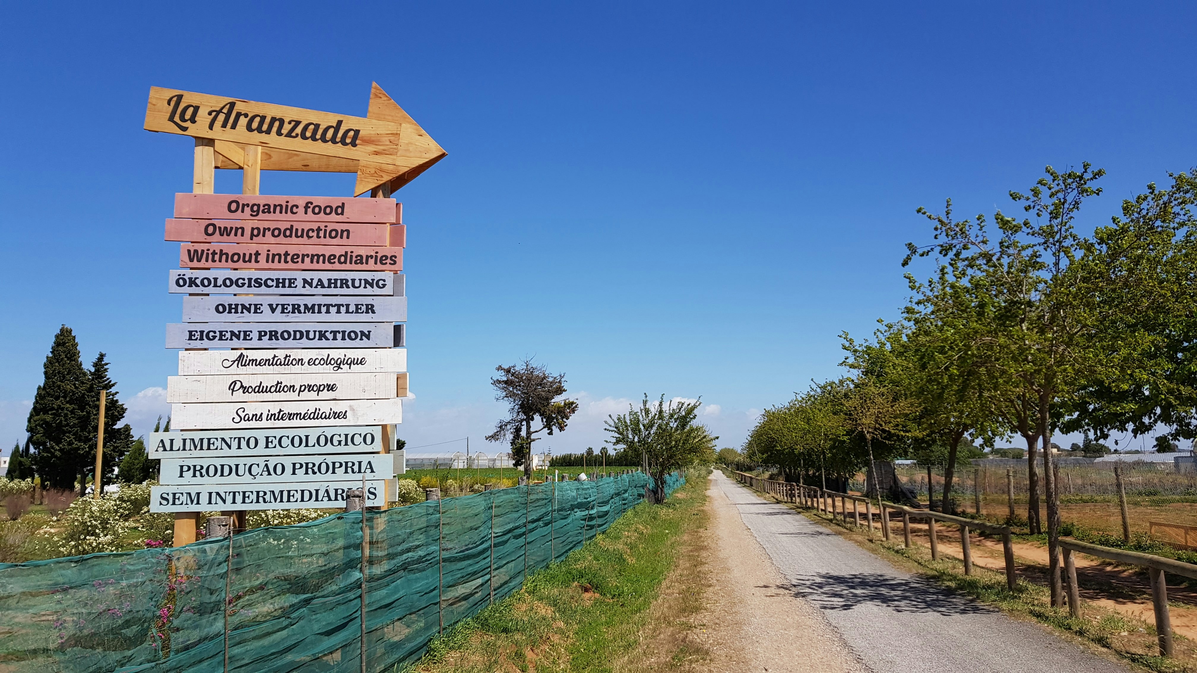 La Siesta de la Gaviota