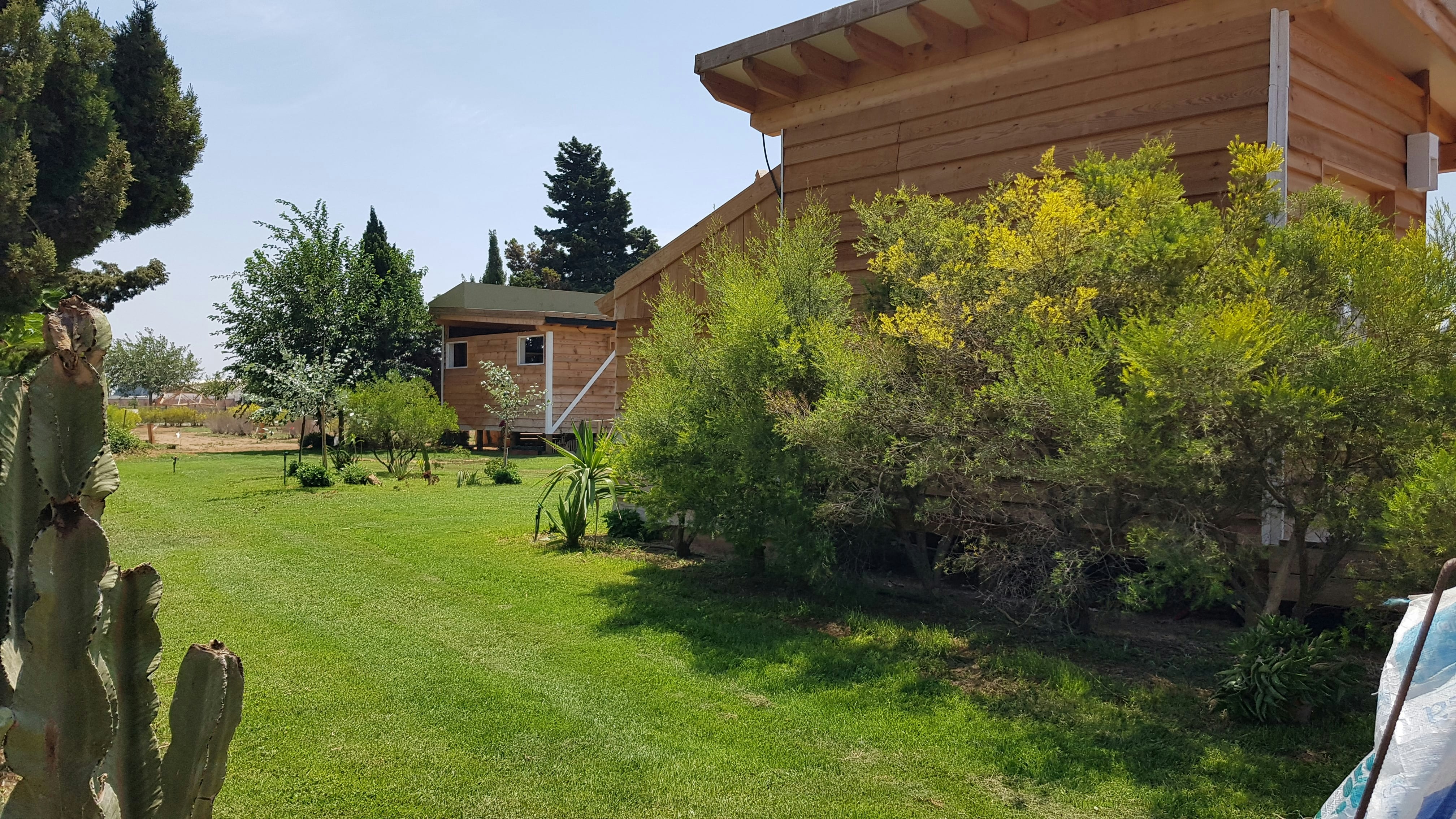 La Siesta de la Gaviota