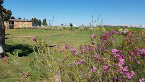 Blumenbeet mit pinken Blüten vor einer Holzunterkunft mit Veranda, im grünen Campinggarten und mit Gewächshäusern im Hintergrund.