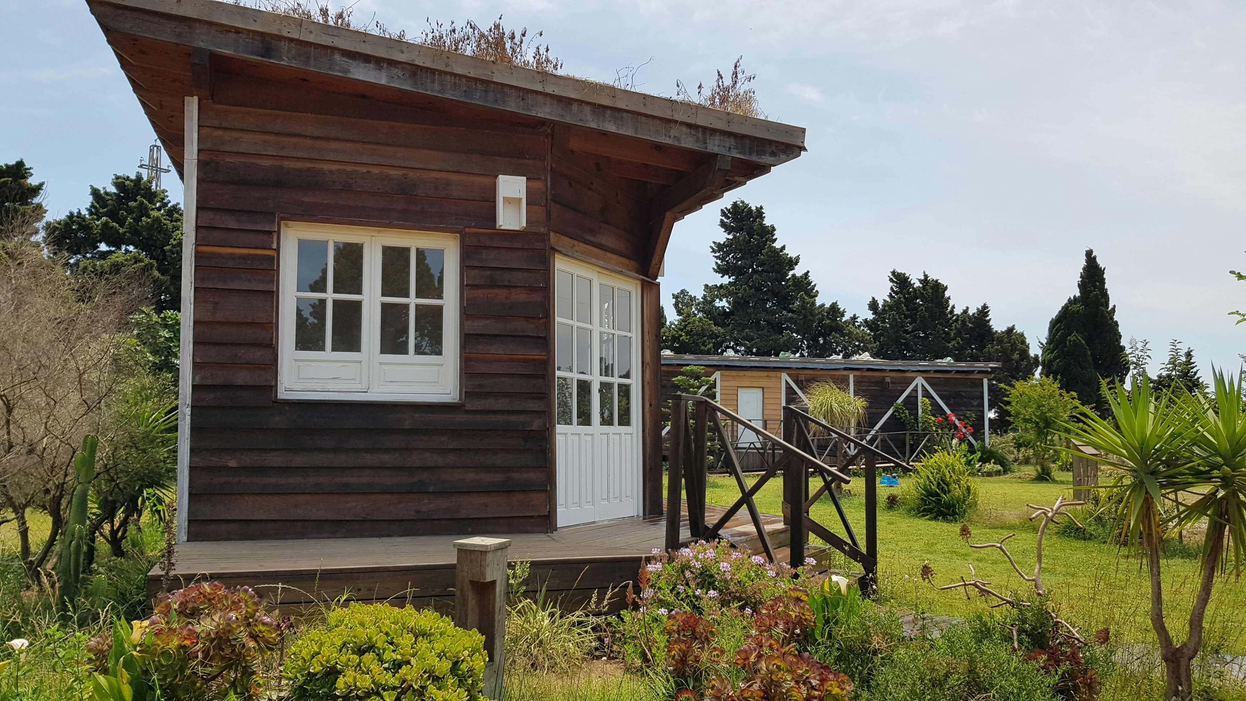La Siesta de la Gaviota