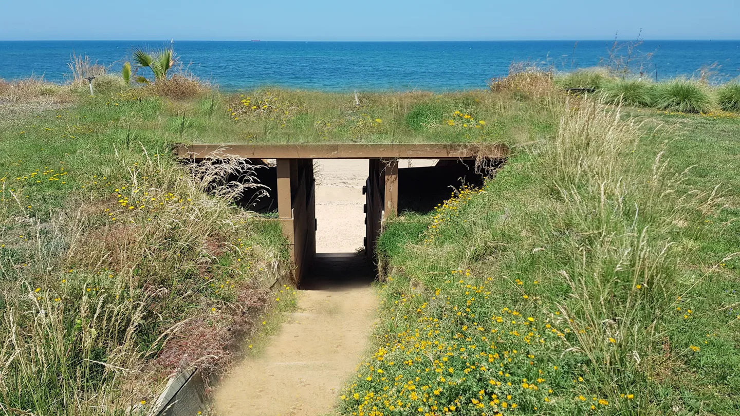 La Siesta de la Gaviota