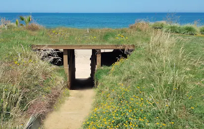 La Siesta de la Gaviota