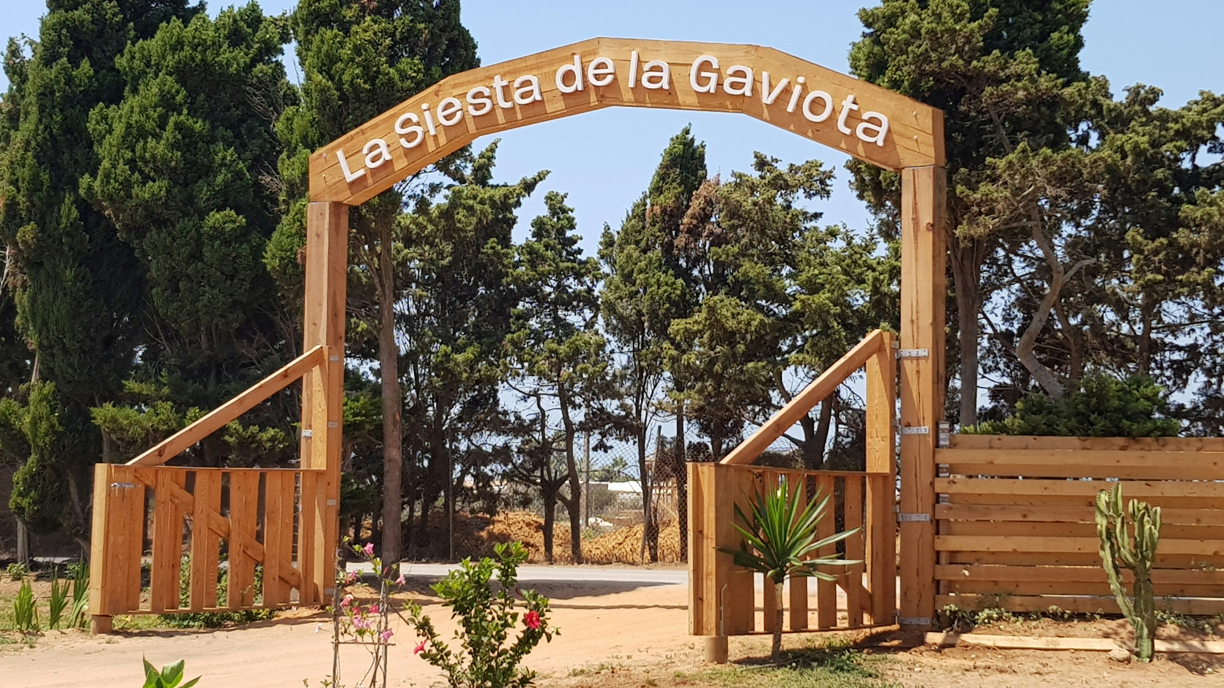 La Siesta de la Gaviota