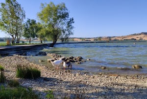 Area Sosta Camper Il Chiaro - Blick auf den See am Campingplatz