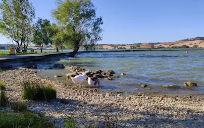 Area Sosta Camper Il Chiaro