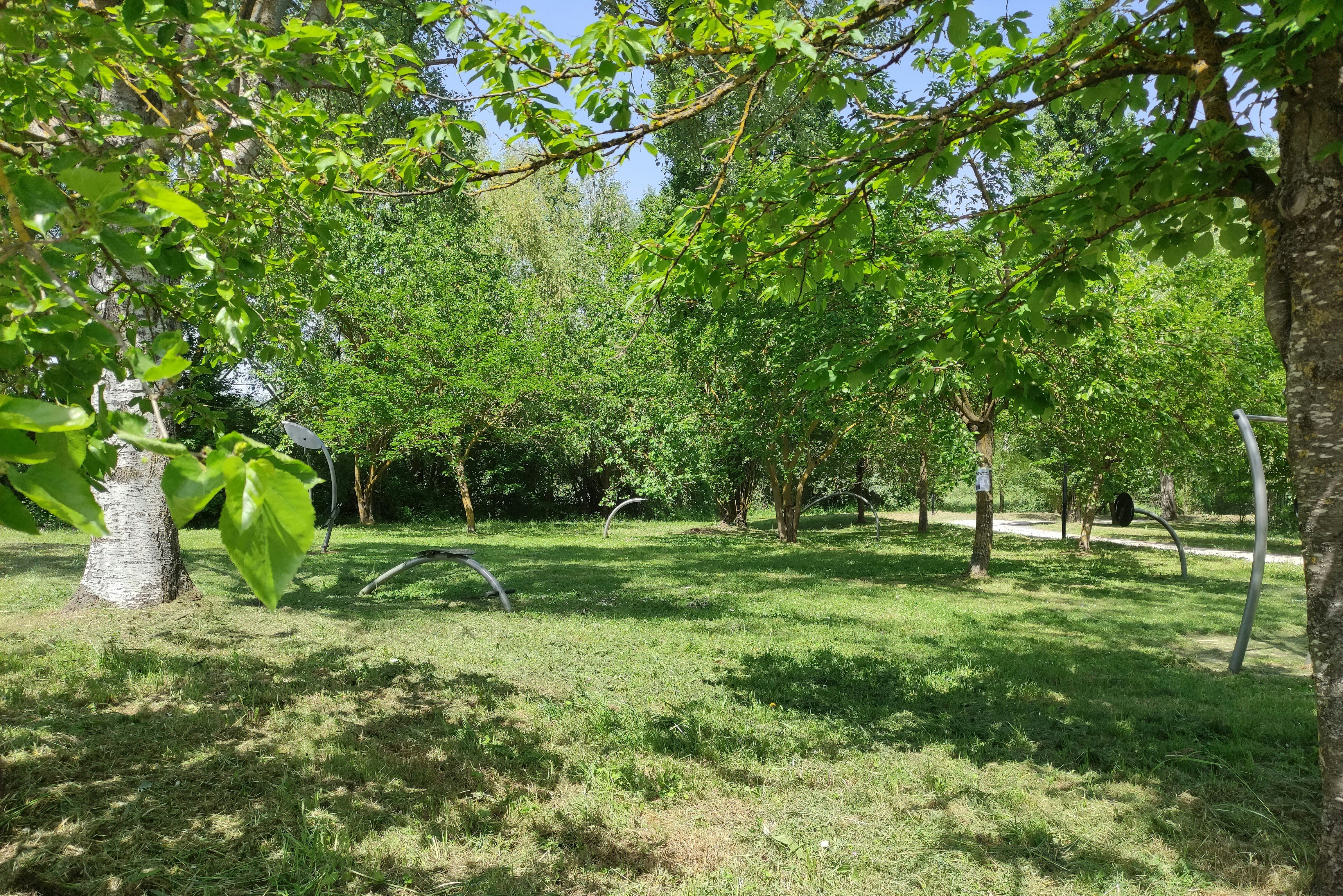 Area Sosta Camper Il Chiaro - Standplätze im Grünen auf dem Campingplatz