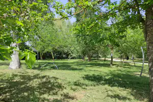 Area Sosta Camper Il Chiaro - Standplätze im Grünen auf dem Campingplatz