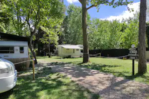 Area Sosta Camper Il Chiaro - Standplätze zwischen den Bäumen auf dem Campingplatz