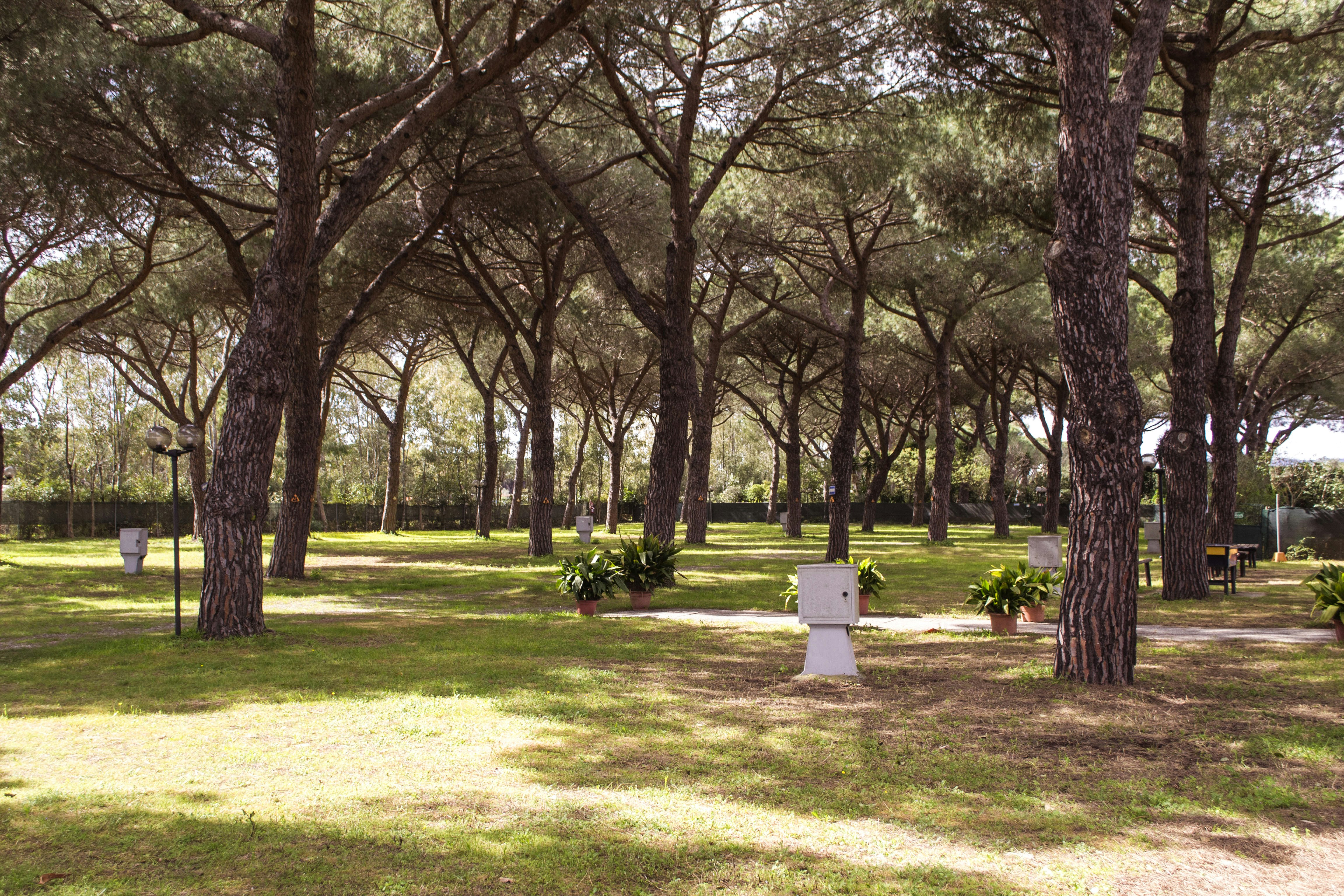 Area Sosta La Pampa - Standplätze zwischen den Bäumen auf dem Campingplatz