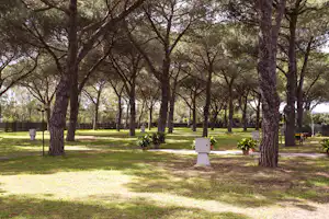 Area Sosta La Pampa - Standplätze zwischen den Bäumen auf dem Campingplatz