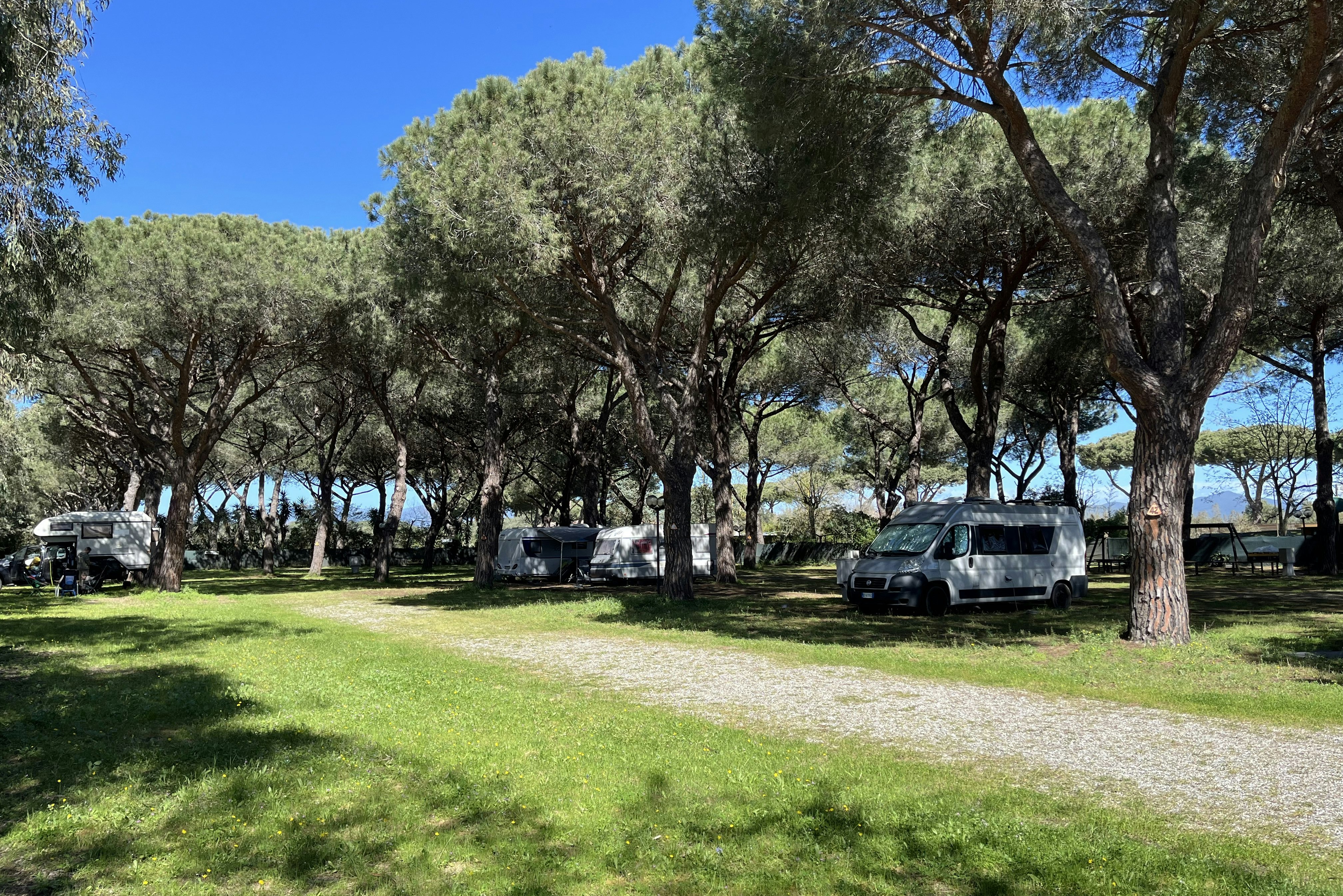 Area Sosta La Pampa - Standplätze zwischen den Bäumen auf dem Campingplatz