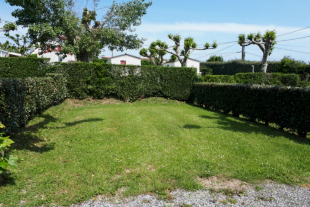 Arena Camping - Blick auf die Standplätze auf der Wiese