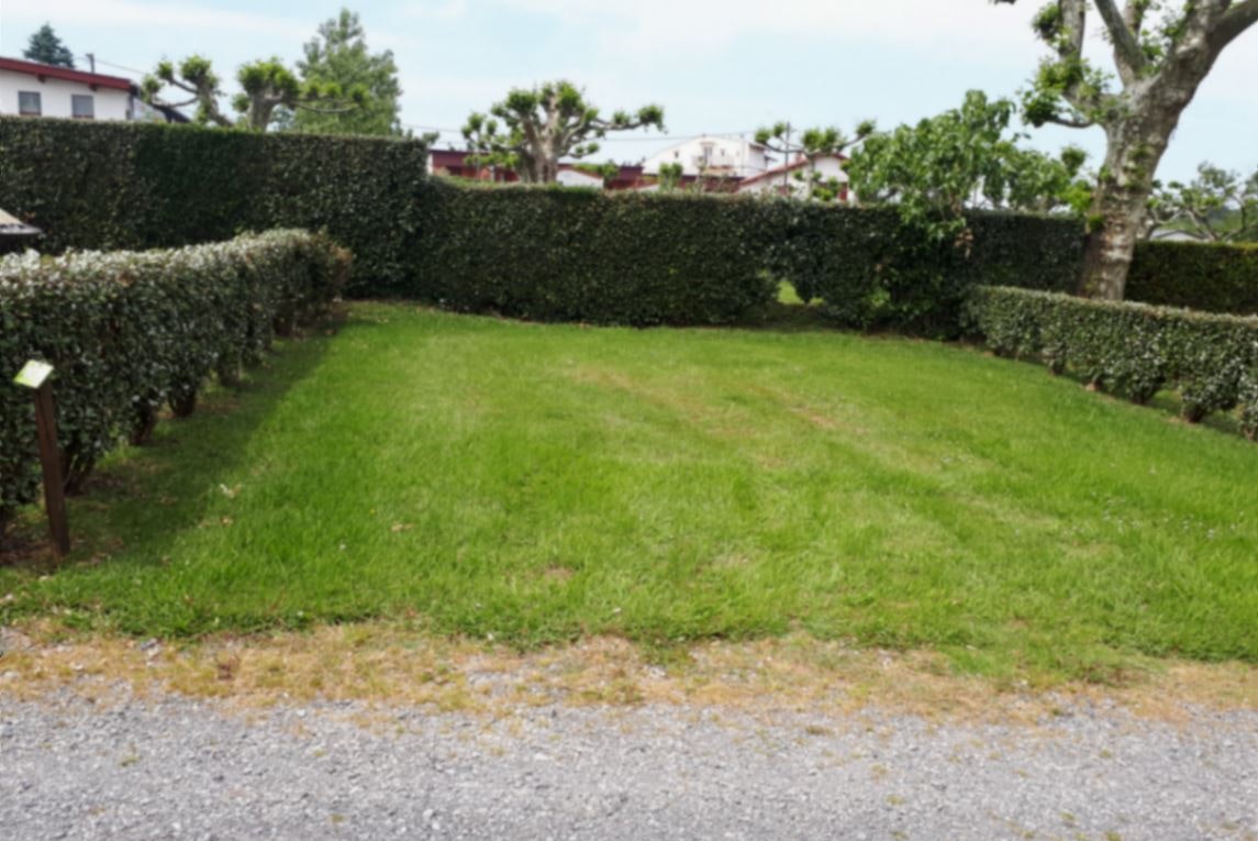 Arena Camping - Standplätze auf dem Campingplatz