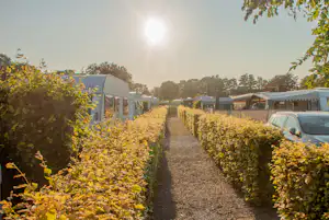 Asaa Camping - Standplätze auf dem Campingplatz