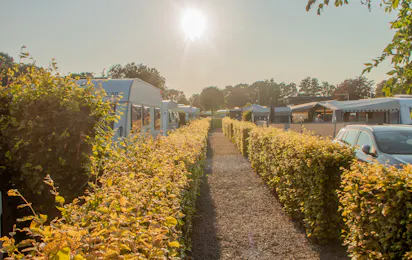 Asaa Camping & Hytteferie