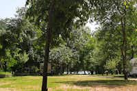 Auto Camp Green Park - Leere Stellplätze auf dem Campingplatz im Schatten der Bäume