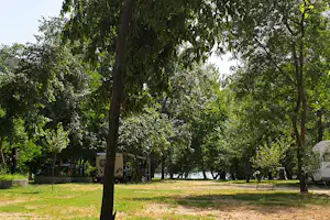 Grüner Campingplatz mit Rasenfläche und vielen Bäumen, im Hintergrund Wohnmobile und ein Weg zwischen den Stellplätzen.