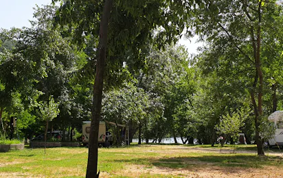 Auto Camp Green Park