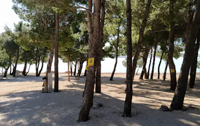 Auto Camp Navis