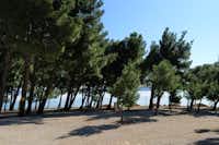 Auto Camp Navis - Parkplatz mit Bäumen und Meerblick