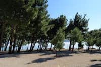 Auto Camp Navis - Parkplatz mit Bäumen und Meerblick