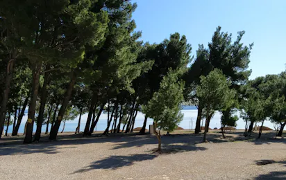 Auto Camp Navis