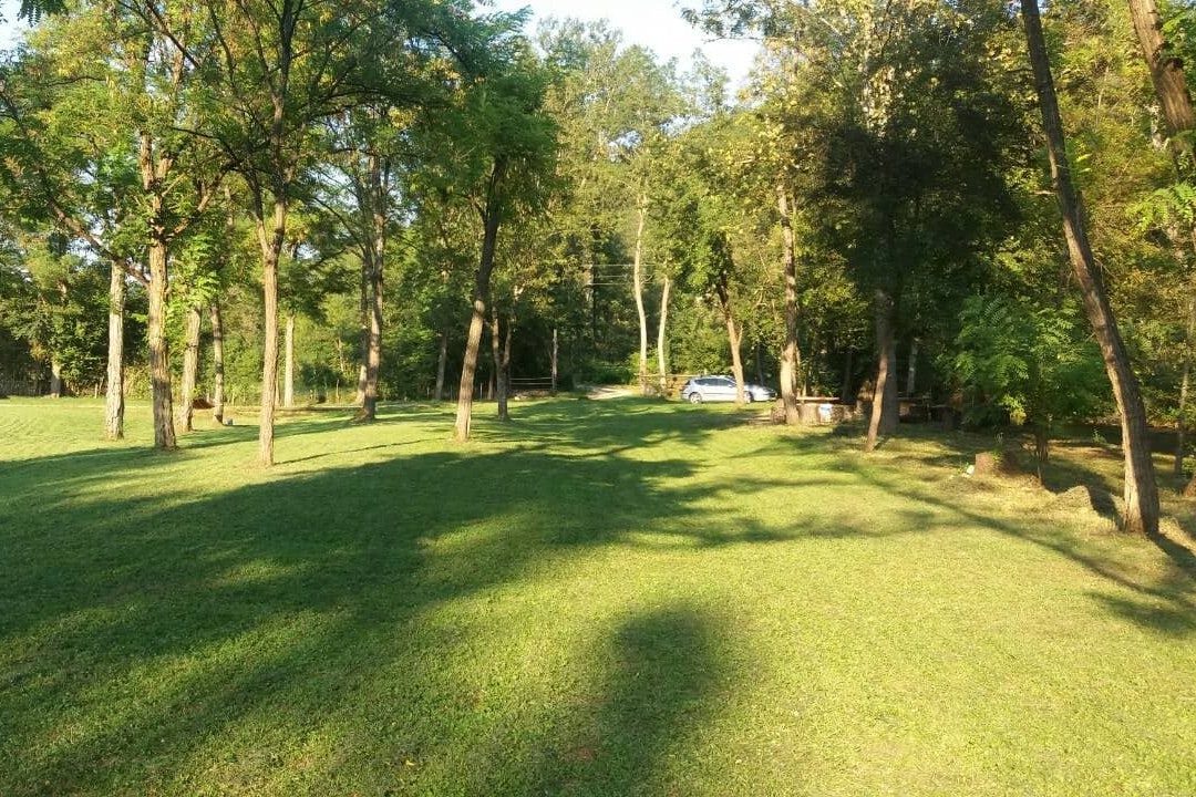 Auto Camp River Stellplatz vom Campingplatz auf grüner Wiese