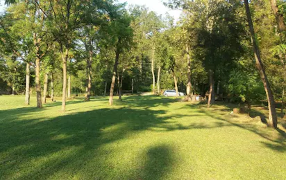 Auto Camp River