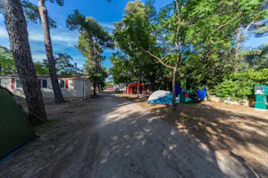 Camp Mia