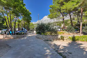Eingang eines Campingplatzes mit breitem Weg, Bäumen und Heckenbeeten, im Hintergrund geparkte Autos und Berge.