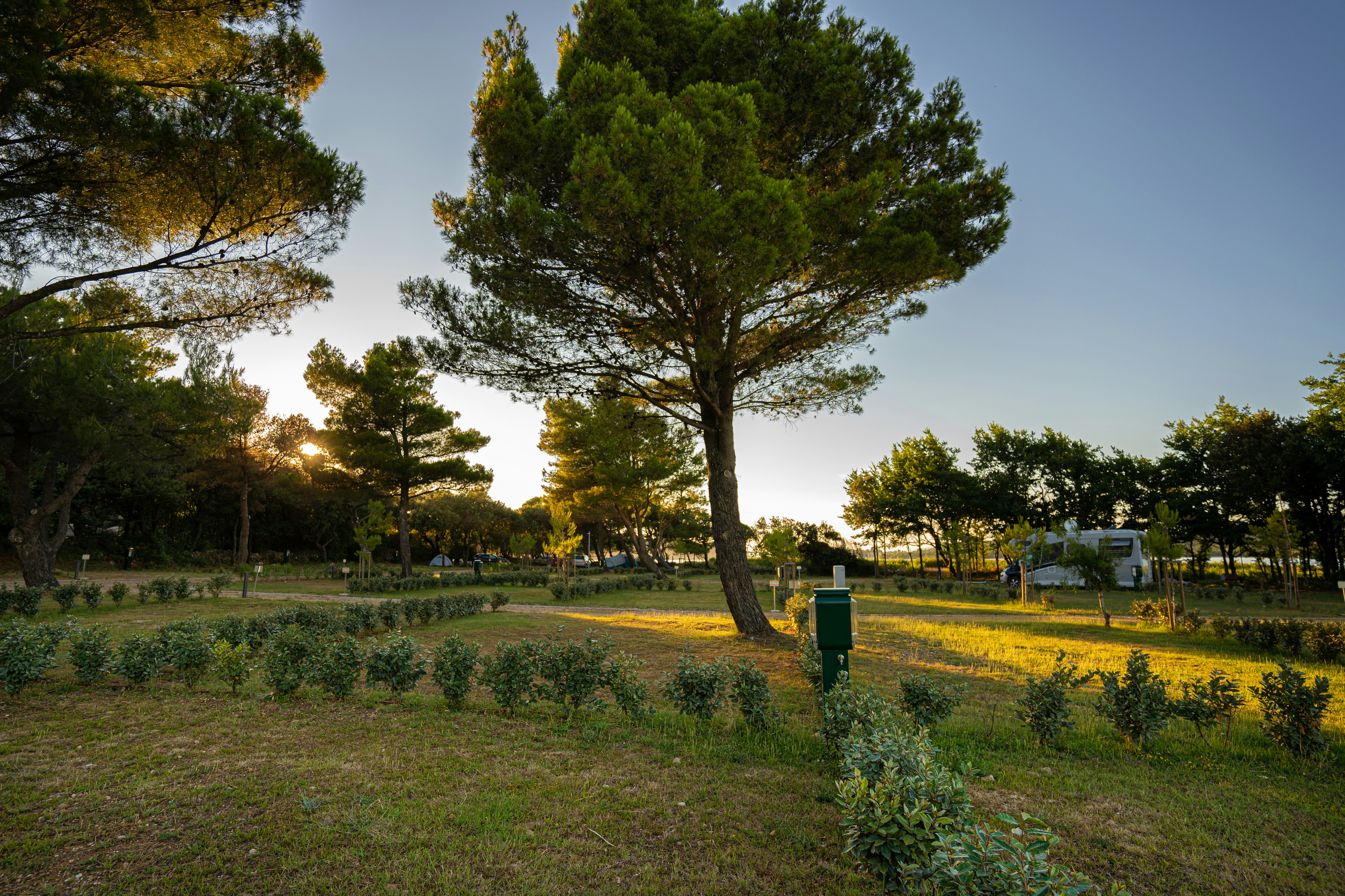 Lopari Camping Resort  Autocamp Lopari - Standplatzwiese auf dem Campingplatz