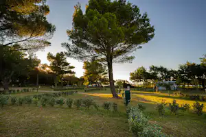 Lopari Camping Resort Autocamp Lopari - Standplatzwiese auf dem Campingplatz