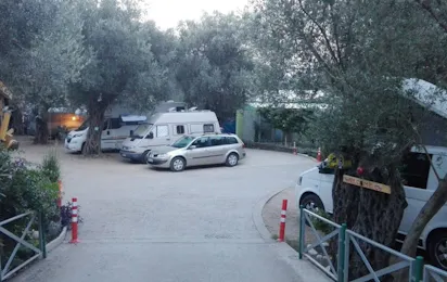 Autocamp Maslina